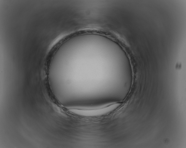 X0000091961400200710041019