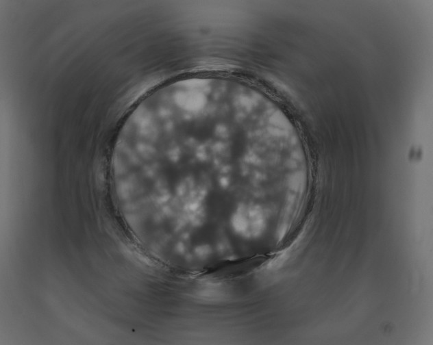 X0000091961401200710041019