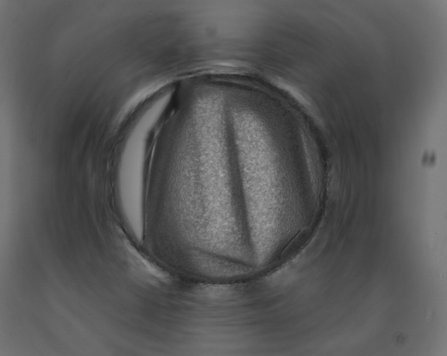 X0000091961402200710041019