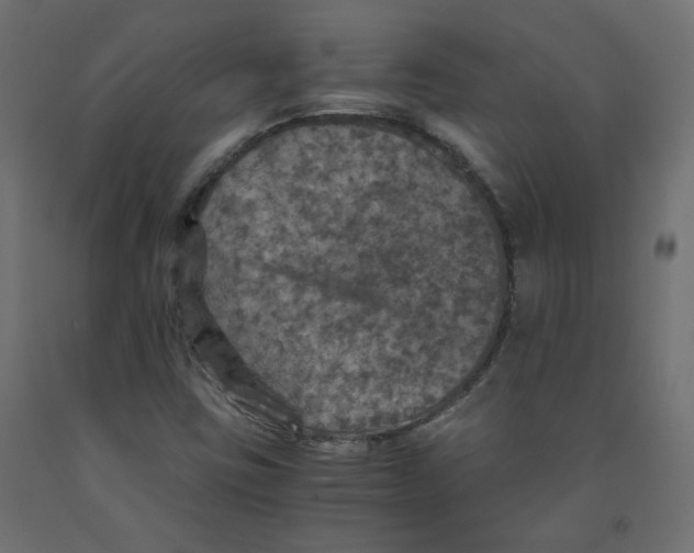 X0000091961403200710041019