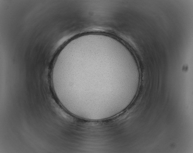 X0000091961404200710041019