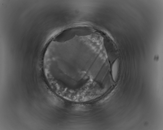 X0000091961405200710041019