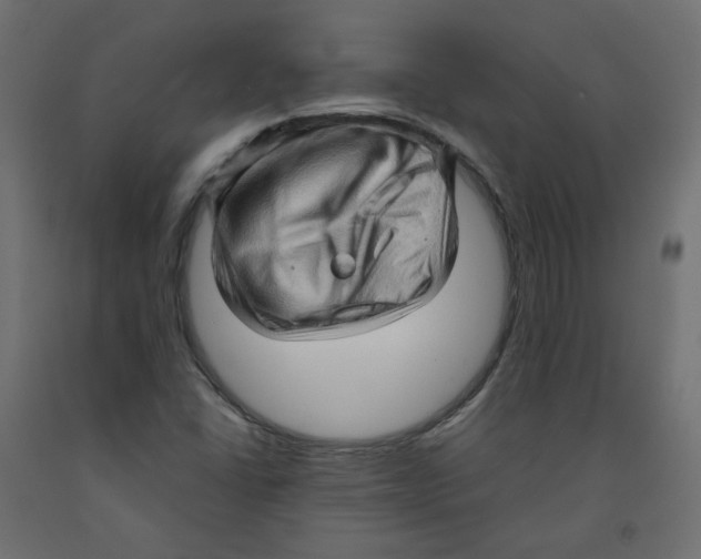 X0000091961406200710041019