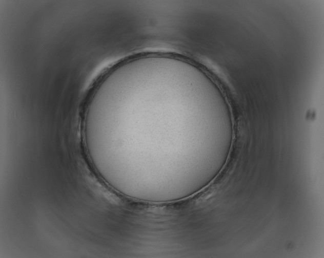 X0000091961408200710041019
