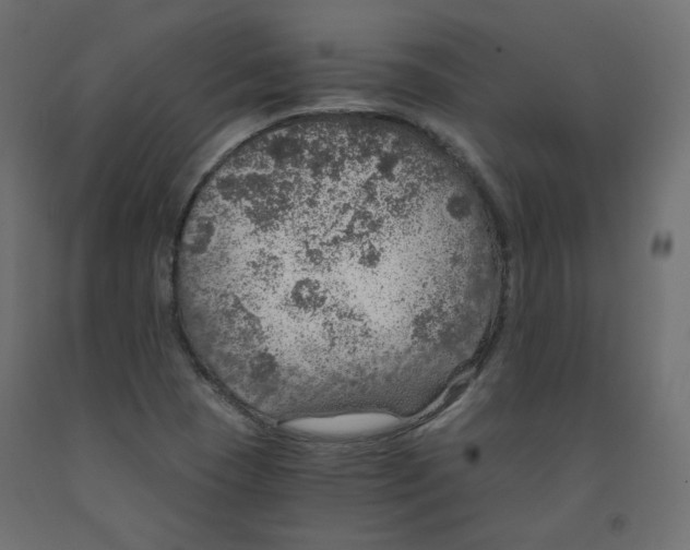 X0000091961409200710041019