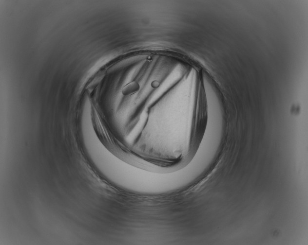 X0000091961410200710041019