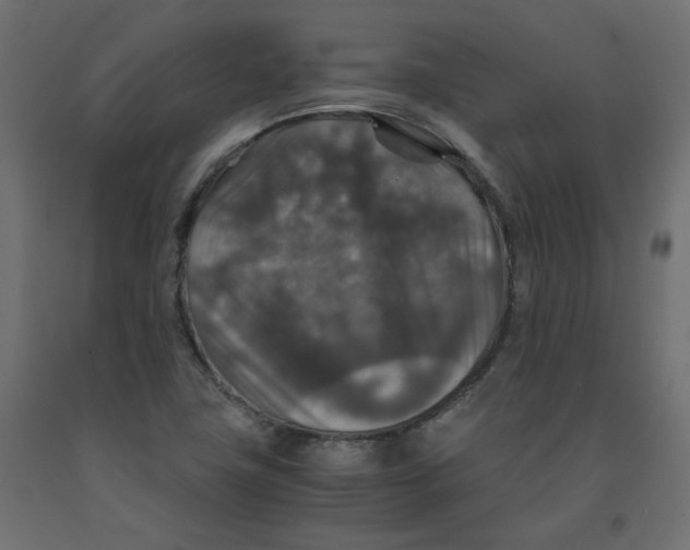 X0000091961411200710041019