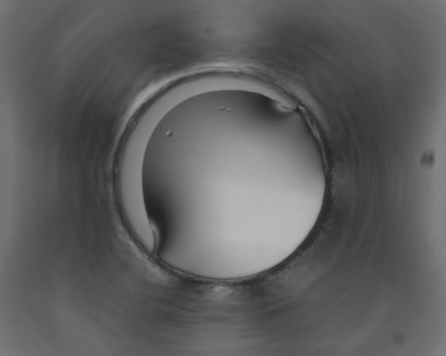 X0000091961412200710041019