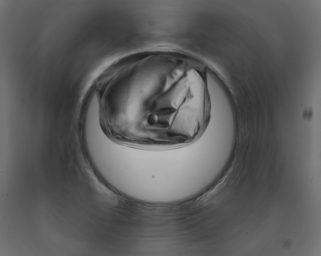 X0000091961414200710041019