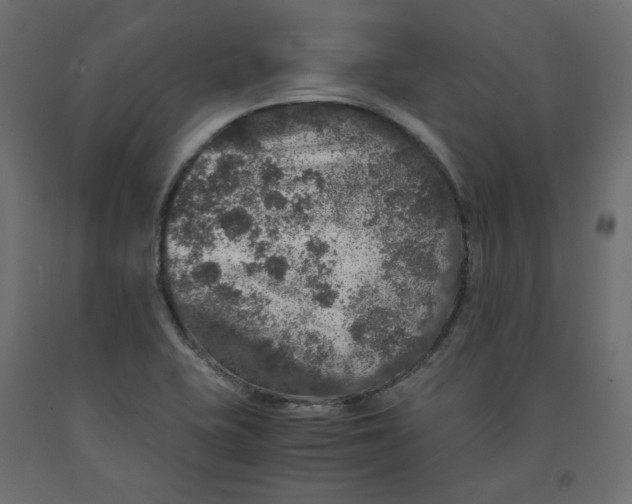 X0000091961415200710041019