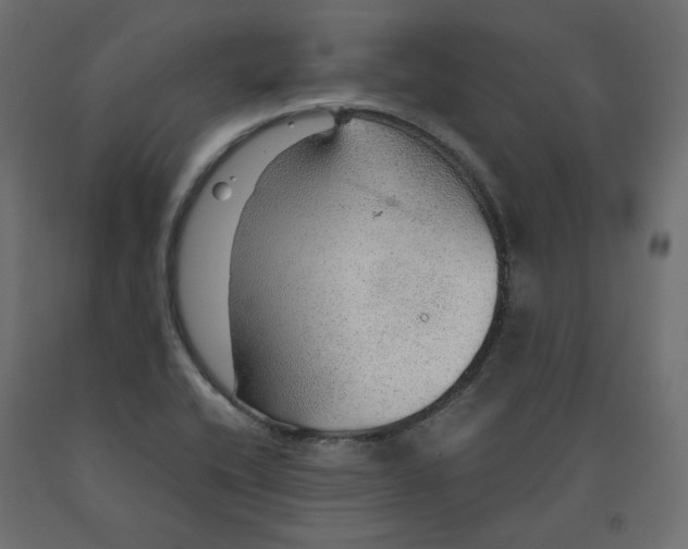 X0000091961416200710041019