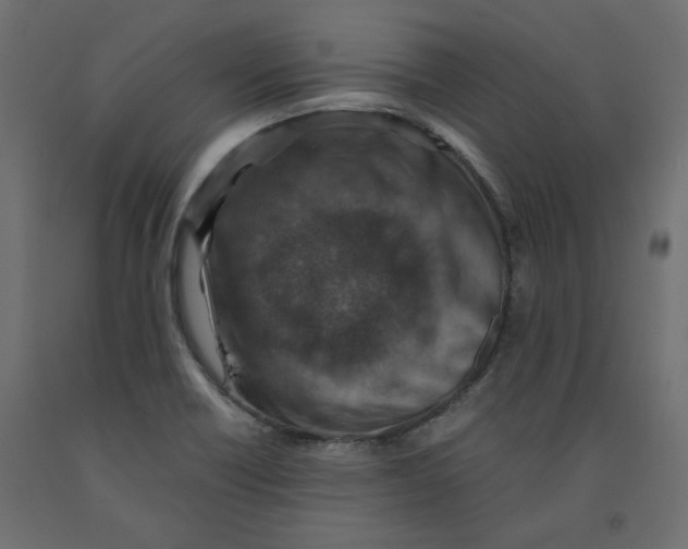 X0000091961418200710041019