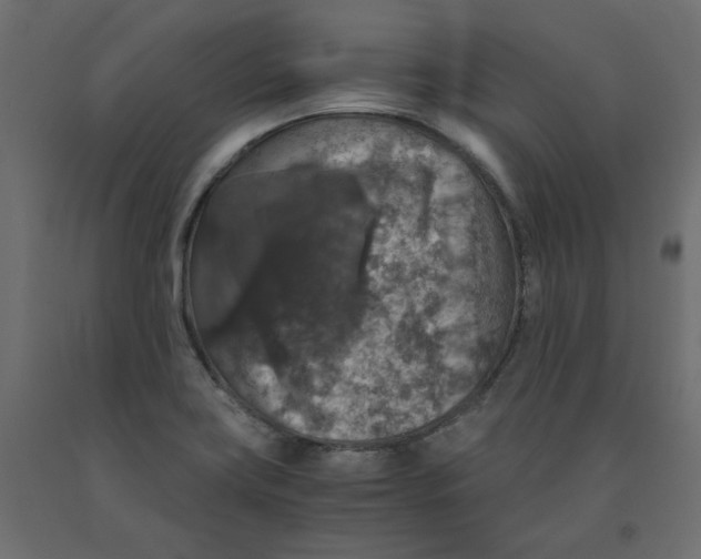 X0000091961419200710041019