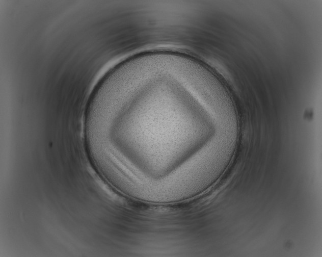 X0000091961420200710041019