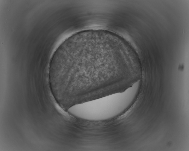 X0000091961421200710041019