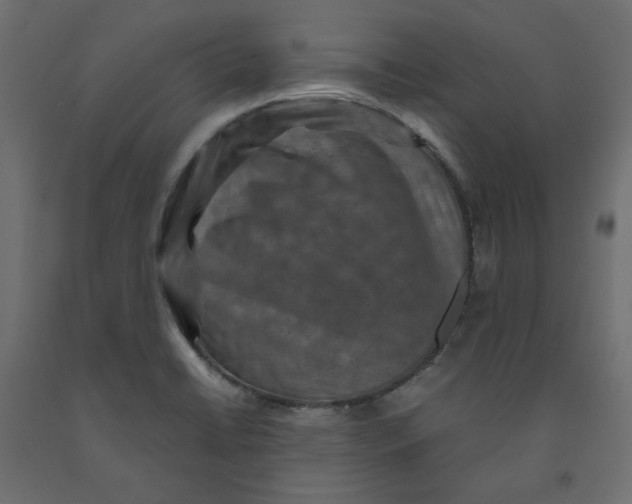 X0000091961422200710041019