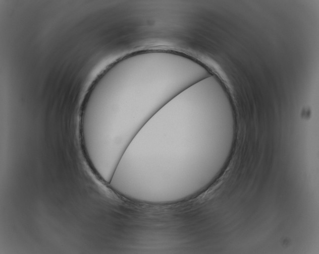 X0000091961424200710041019