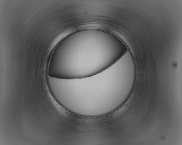 X0000091961426200710041019