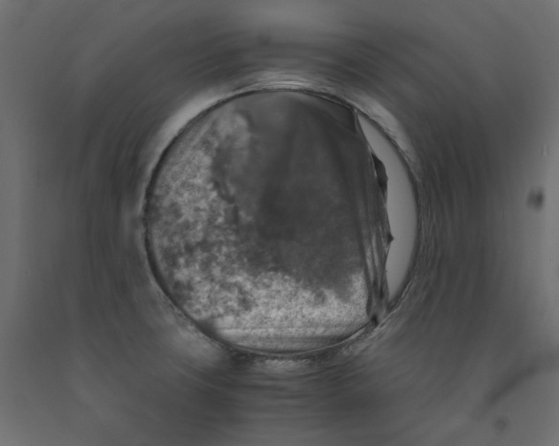 X0000091961427200710041019