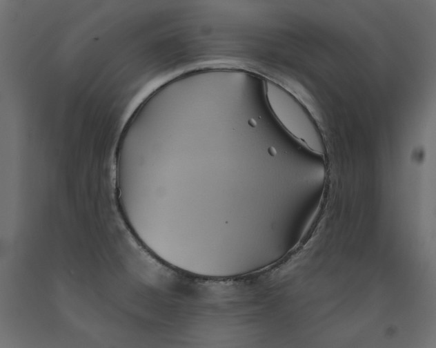X0000091961428200710041019