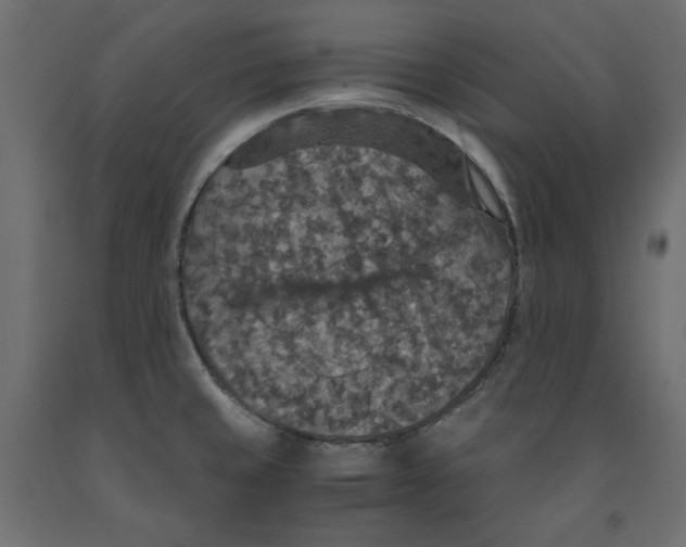 X0000091961429200710041019