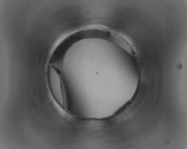 X0000091961430200710041019