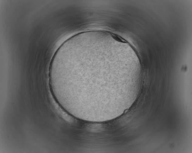 X0000091961431200710041019
