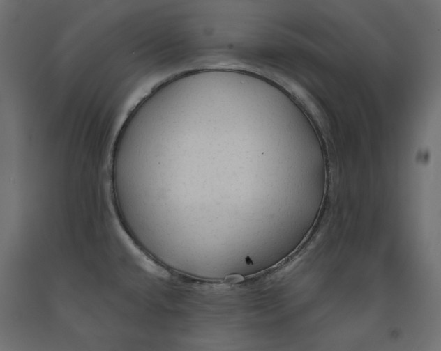 X0000091961432200710041019