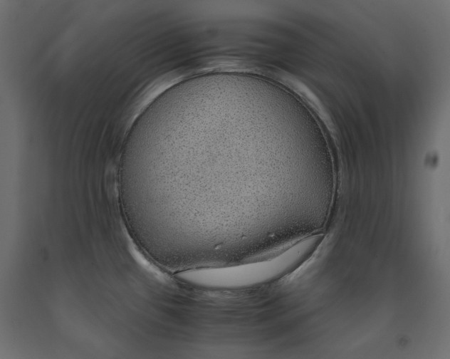 X0000091961433200710041019