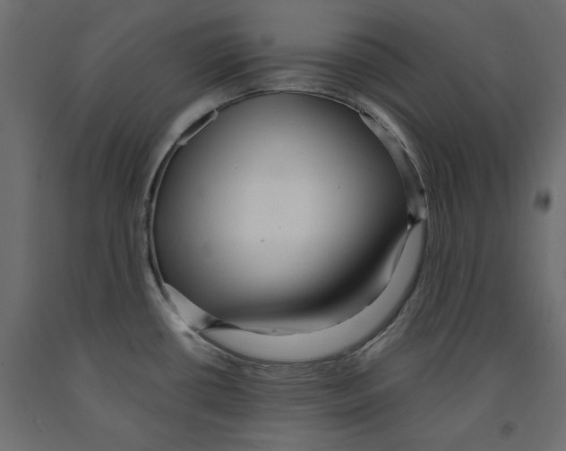X0000091961434200710041019