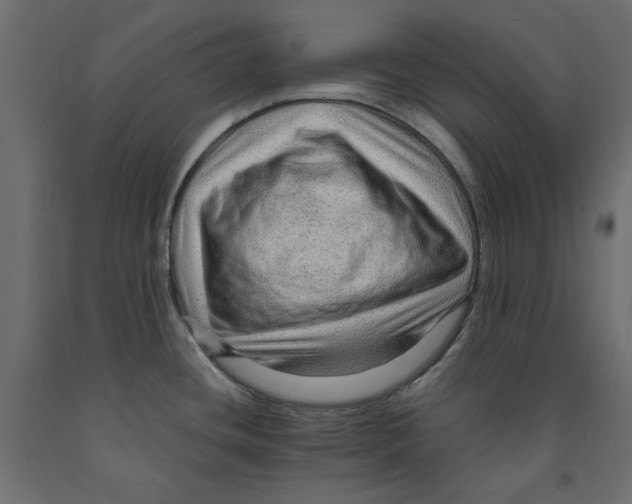 X0000091961436200710041019