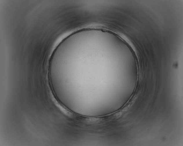 X0000091961437200710041019