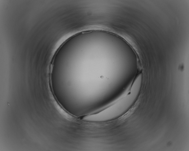 X0000091961438200710041019