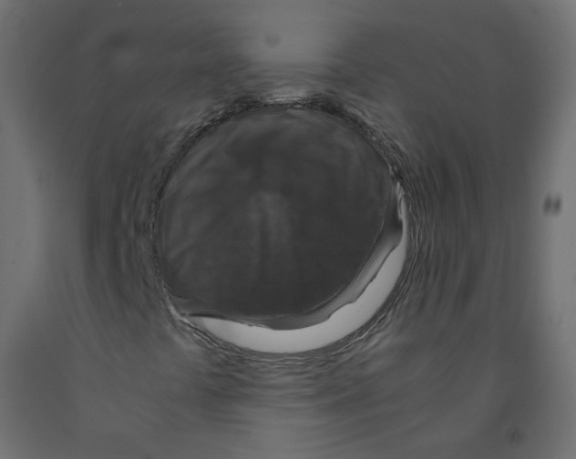 X0000091961441200710041019