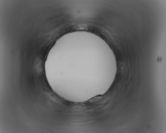 X0000091961442200710041019