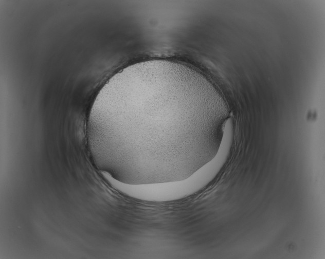 X0000091961444200710041018