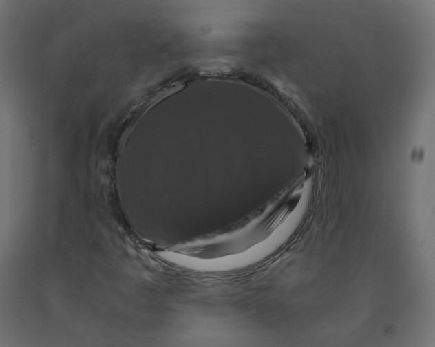 X0000091961445200710041018