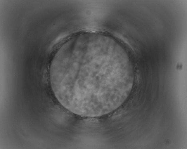 X0000091961446200710041018