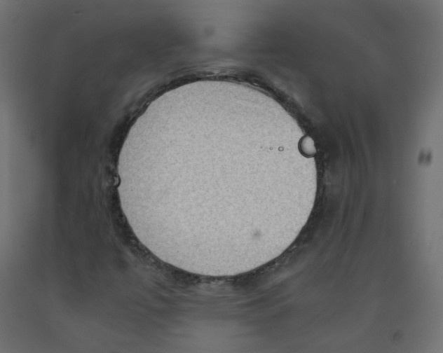 X0000091961447200710041018