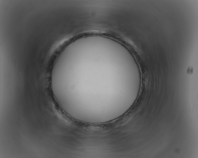 X0000091961448200710041018