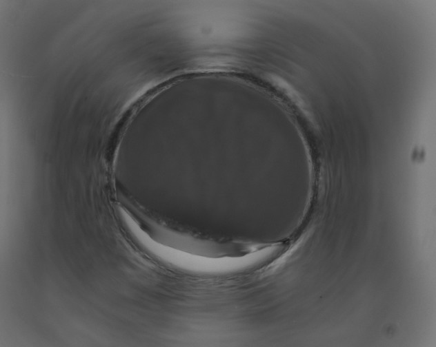 X0000091961449200710041018