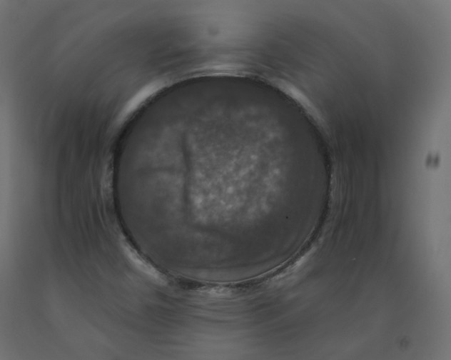 X0000091961450200710041018