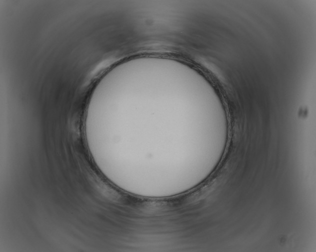 X0000091961451200710041018
