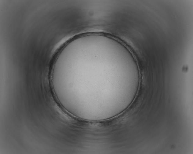 X0000091961452200710041018