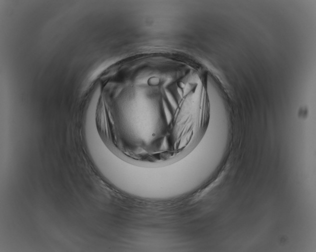 X0000091961453200710041018