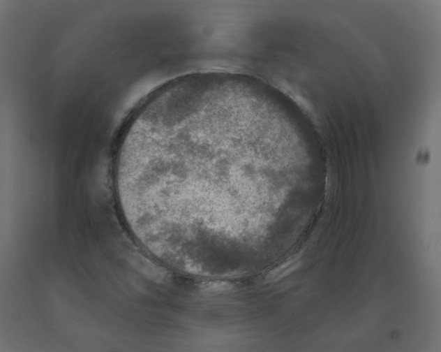 X0000091961454200710041018