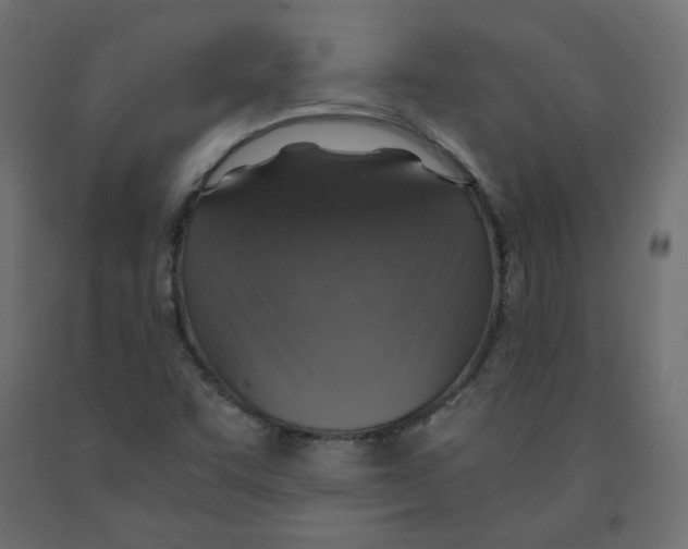 X0000091961455200710041018
