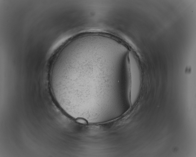 X0000091961456200710041018