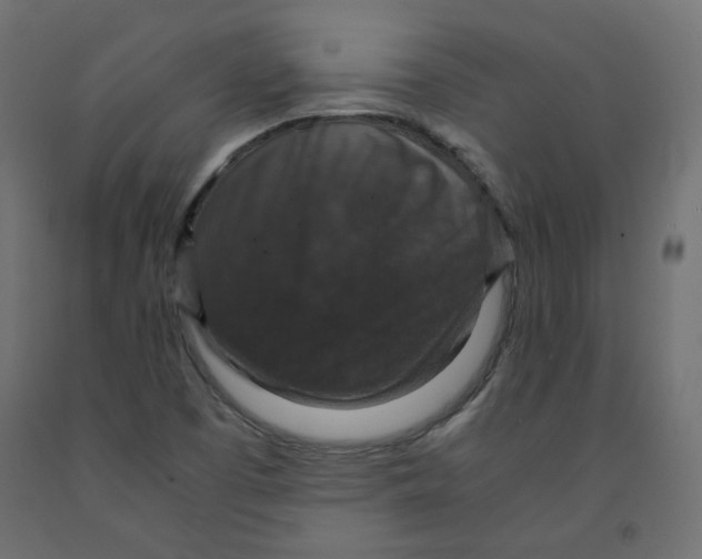 X0000091961457200710041018