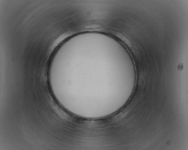X0000091961458200710041018
